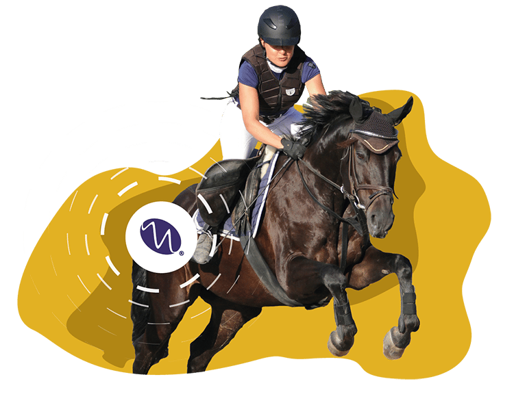 magnacares pemf device for pets and equine